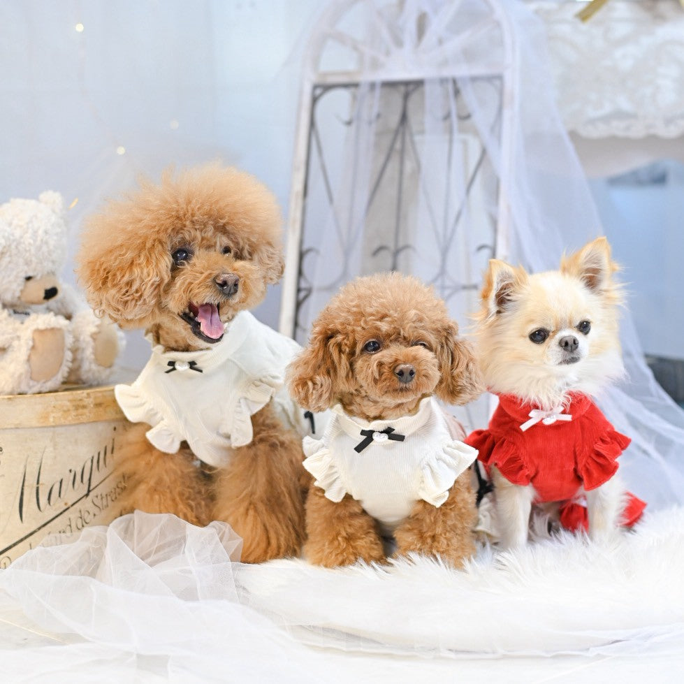 リボンいっぱいコーデュロイPUワンピース | 犬服 小型犬 ドッグウェア