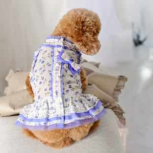 ぼんやりお花柄プリントワンピース ブルー 着用画像　背面｜犬服 ドッグウェア KALINA