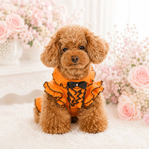 KALINA カシミヤ混ふりふりワンピース エルメス｜やわらかく伸縮性のある犬服