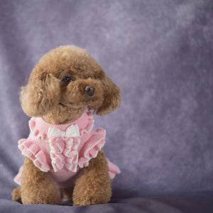 犬用カシミヤ混フリルワンピース　ピンクを着用
