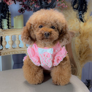 トイプードルがカシミヤ混フリルワンピースチェリーピンクを着用。