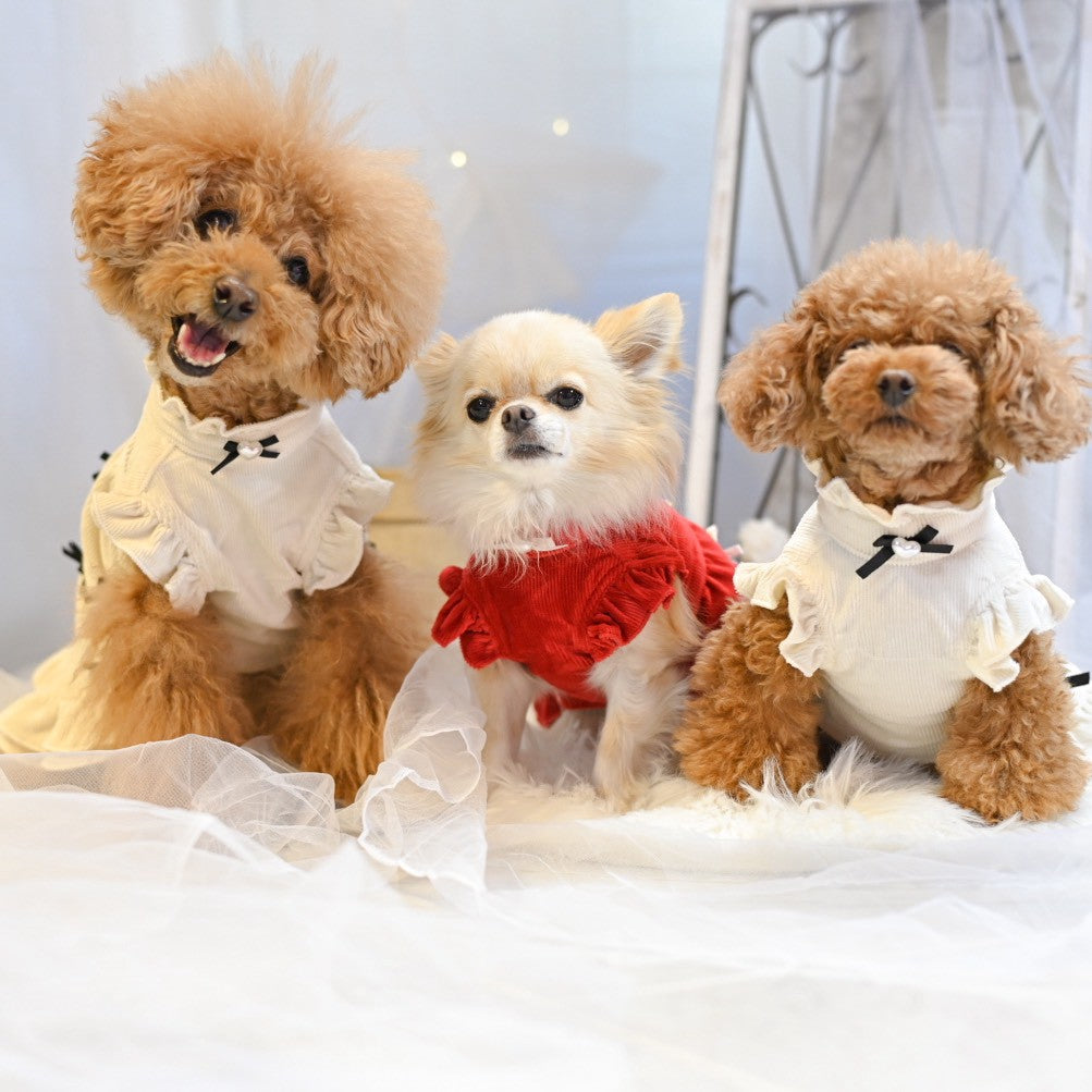 リボンいっぱいコーデュロイPUワンピース | 犬服 小型犬 ドッグウェア 定番 KALINA