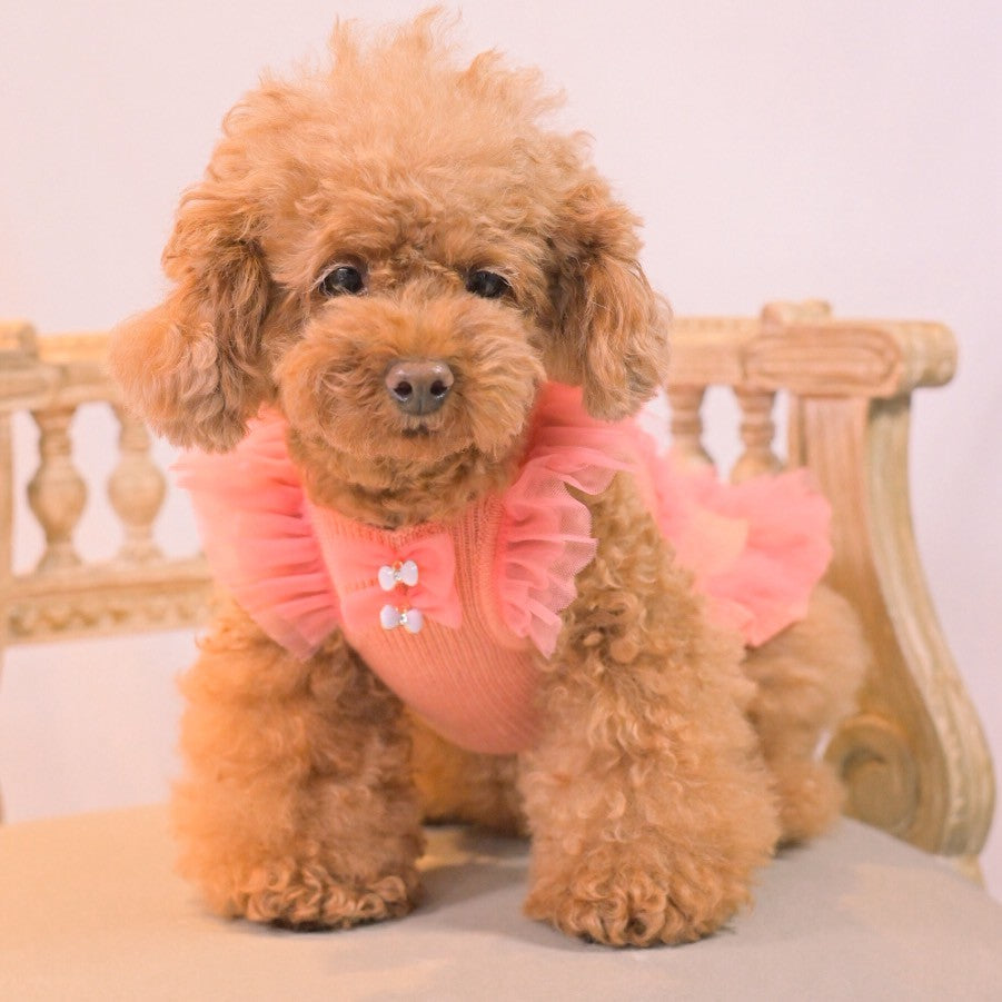 Chocolat Vanilla デニム犬服 赤フリル ONEKOSAMA OINUSAMA ペット服 チュチュスカート リボン セット