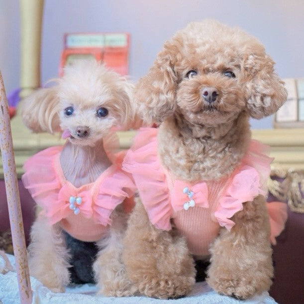 柔らかで着心地の良いワンピース　カシミヤ混チュールフリルワンピース　オレンジピンク　小型犬等におすすめ　トイプードル　チワワ　マルチーズ