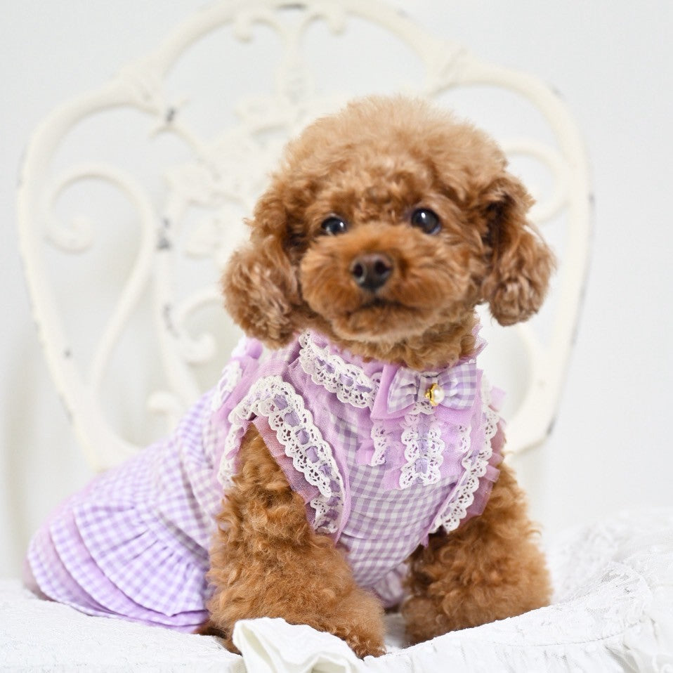ギンガムチェックワンピース ラベンダー トイプー チワワ マルチーズ 小型犬