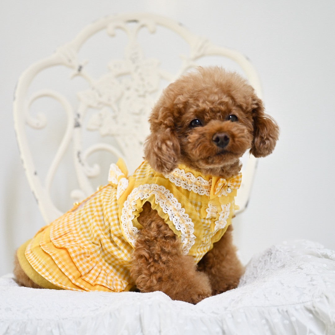 犬服　ギンガムチェックワンピース　ハンドメイド 小型犬用 ♡ 春夏犬服 ♡ ギンガムチェック ♡ シンプルな