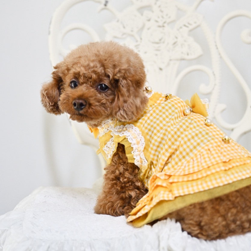 かつお CANDY GIRLギンガムチェックワンピース CANDY GIRL ギンガムチェックワンピース／ Lolime（Mサイズ・LL