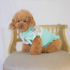 kalina定番 レースドッキングワンピース 新色 ブルー 側面画像 小型犬 おすすめ