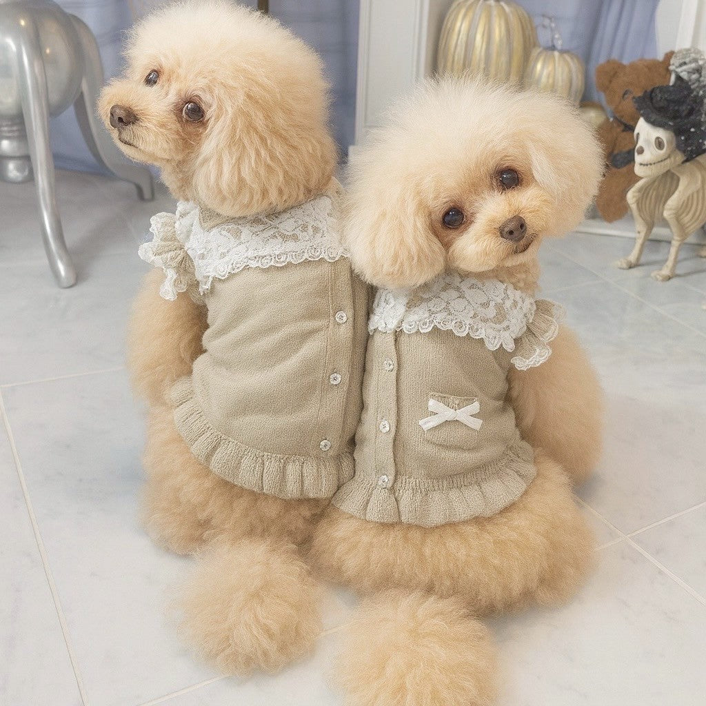 定番】ニットNEWレースドッキングワンピース | 犬服 小型犬 ドッグ