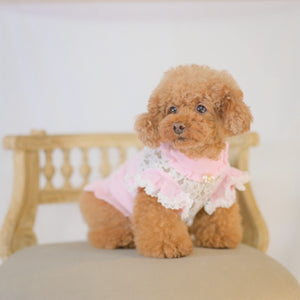 kalina定番 レースドッキングワンピース  ピンク 伸縮性が高く小型犬 おすすめ