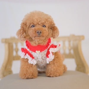 kalina定番 レースドッキングワンピース 新色 赤 正面画像 小型犬 おすすめ