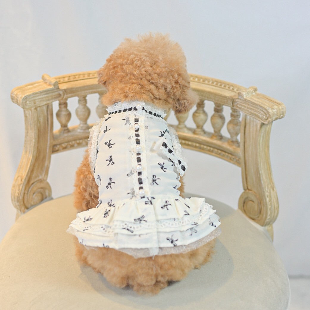 シフォン素材のリボンプリント柄ワンピース　黒　小型犬等にオススメ　トイプードル　チワワ　マルチーズ