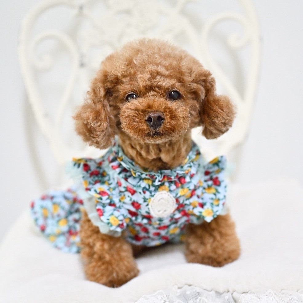 シアー花柄プリントワンピース｜犬服 小型犬 ドッグウェア KALINA