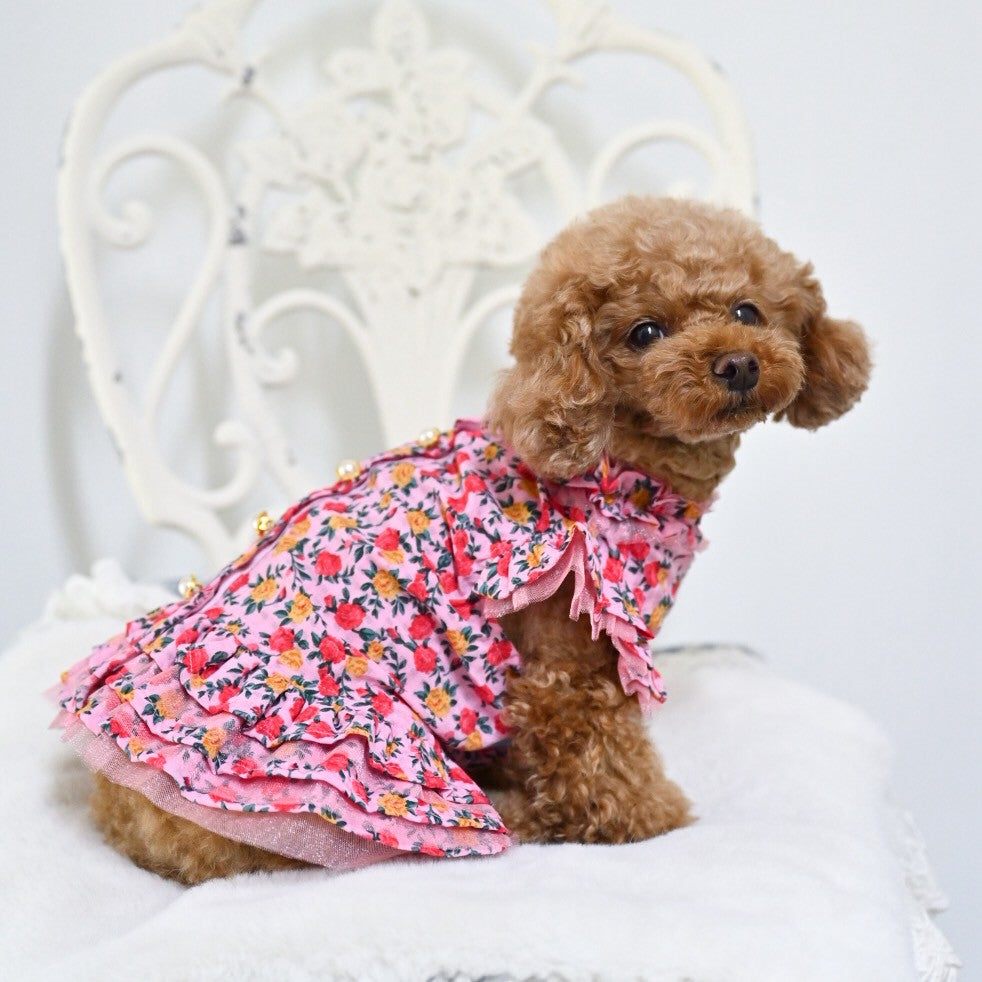 シアー花柄プリントワンピース｜犬服 小型犬 ドッグウェア KALINA