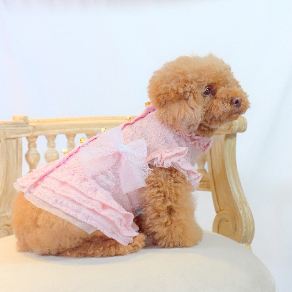 新作】シャーリングレースワンピース ｜犬服 小型犬 ドッグウェア