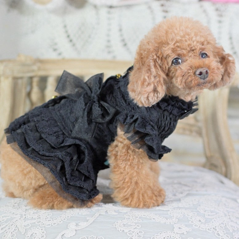 ふんわり可愛いシャーリングデザインに、繊細なレースを重ねた上品な　シャーリングレースワンピース　新色 黒　　小型犬等　トイプードル　チワワ　マルチーズ