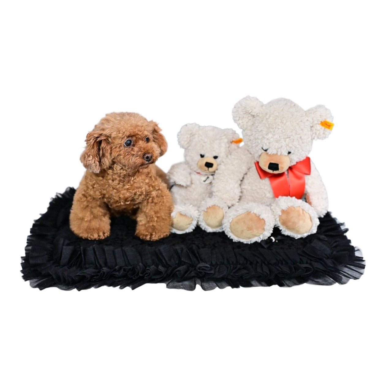 カフェなどのお出掛けにぴったりのカフェマット 黒 Mサイズ