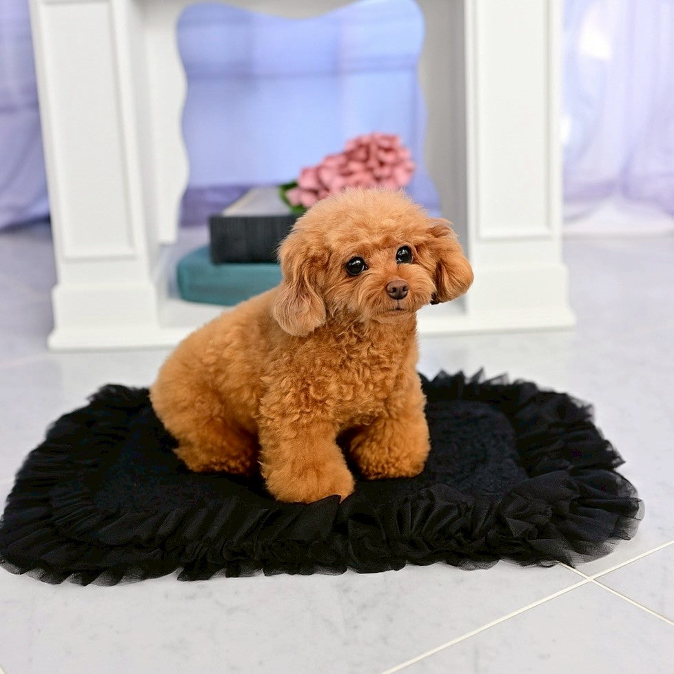 カフェなどのお出掛けにぴったりのカフェマット 黒　XSサイズ