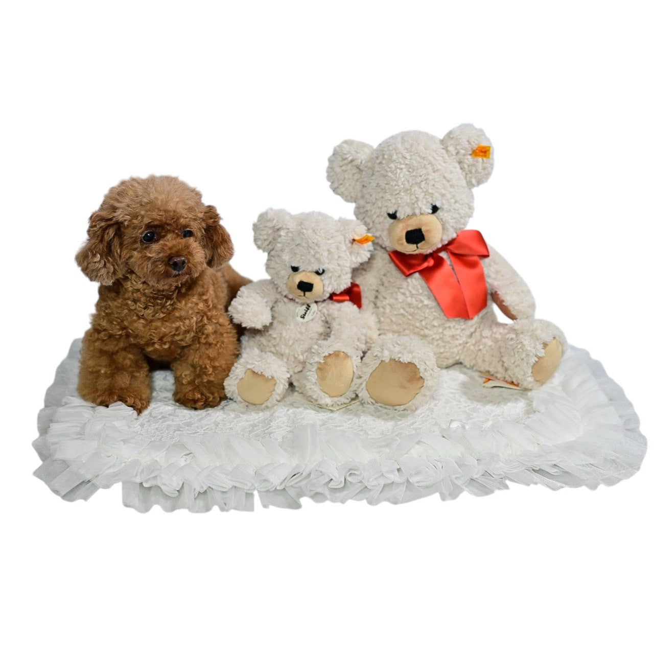 カフェなどのお出掛けにぴったりのカフェマット 黒 Mサイズ