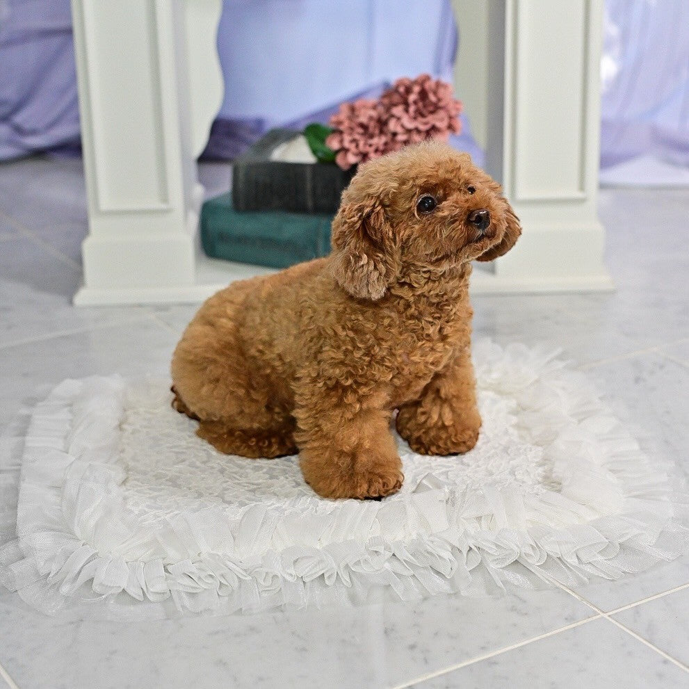 カフェなどのお出掛けにぴったりのカフェマット 黒　XSサイズ