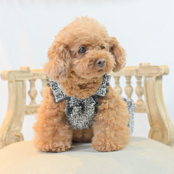 新作】ツィードワンピース ｜犬服 小型犬 ドッグウェア 秋冬 KALINA