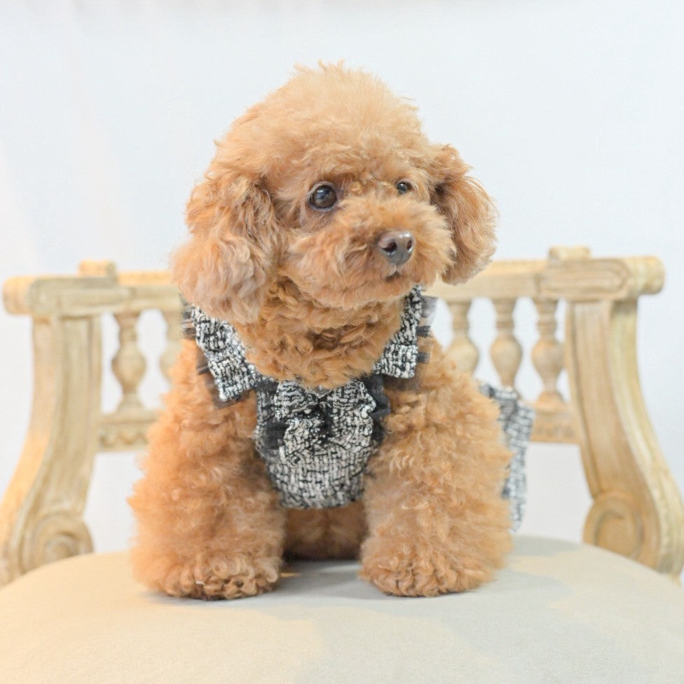 新作】ツィードワンピース ｜犬服 小型犬 ドッグウェア 秋冬 KALINA