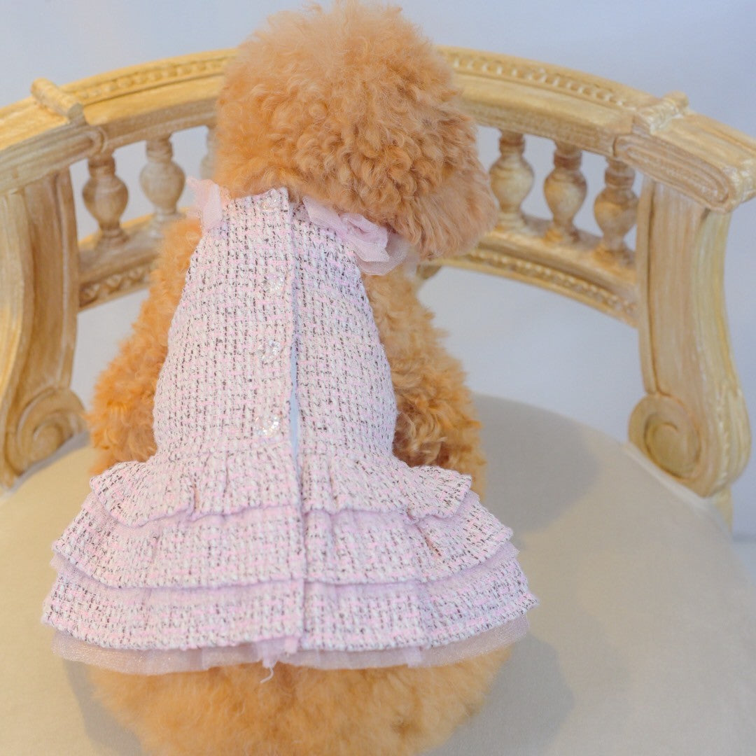 撮影会や記念日フォトにもぴったりな　ツイードワンピース　黒　小型犬等にオススメ　トイプードル　チワワ　マルチーズ　