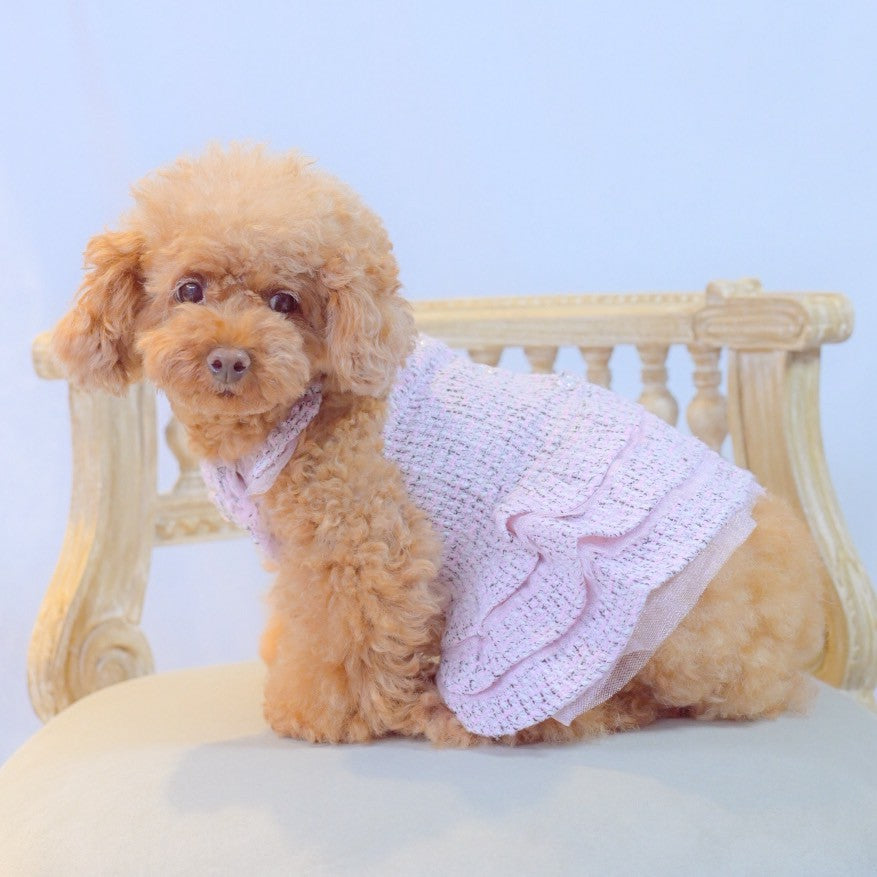 新作】ツィードワンピース ｜犬服 小型犬 ドッグウェア 秋冬 KALINA