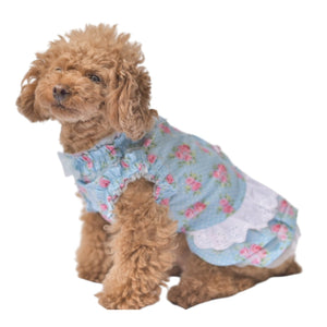 お花の季節にぴったりな　コットン薔薇柄ワンピース　ブルー　小型犬等におすすめ　トイプードル　チワワ　マルチーズ