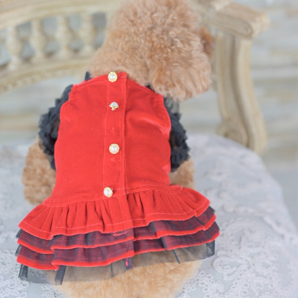 カリーナ　Kalina XXS ワンピース　新品　2枚セット　リボン　撮影会 ワンコ服のKALINA(カリーナ)公式ショップ｜KALINA_wans_gogo