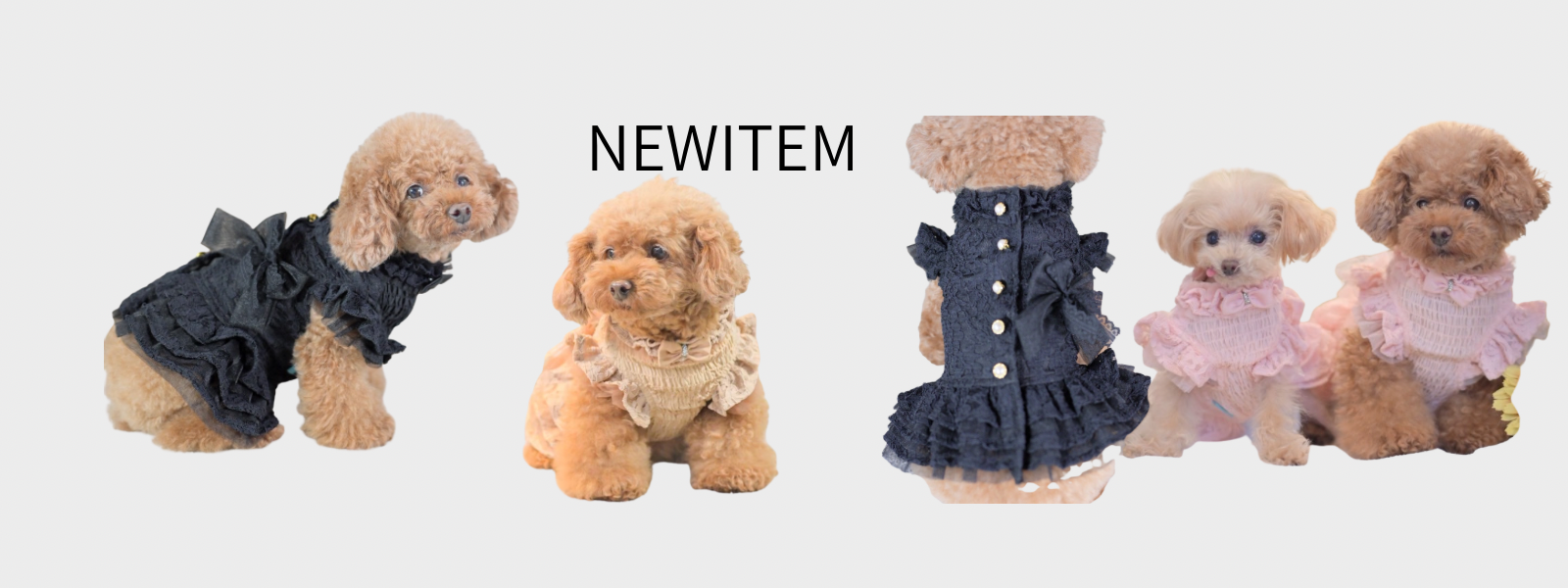 カリーナ　Kalina XXS ワンピース　新品　2枚セット　リボン　撮影会 ワンコ服のKALINA(カリーナ)公式ショップ｜KALINA_wans_gogo