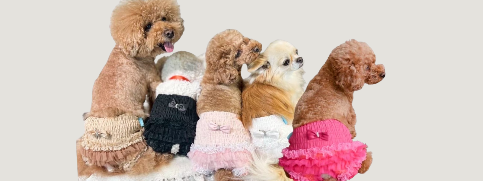 カリーナ　Kalina XXS ワンピース　新品　2枚セット　リボン　撮影会 ワンコ服のKALINA(カリーナ)公式ショップ｜KALINA_wans_gogo