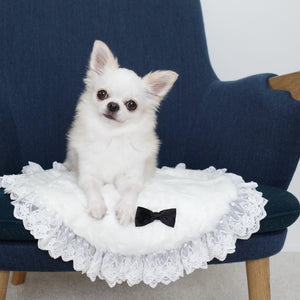 フェイクファーサークルカフェマット ホワイト 椅子に敷いたフェイクファーサークルマットに座るチワワ｜犬用カフェマット お出かけ KALINA