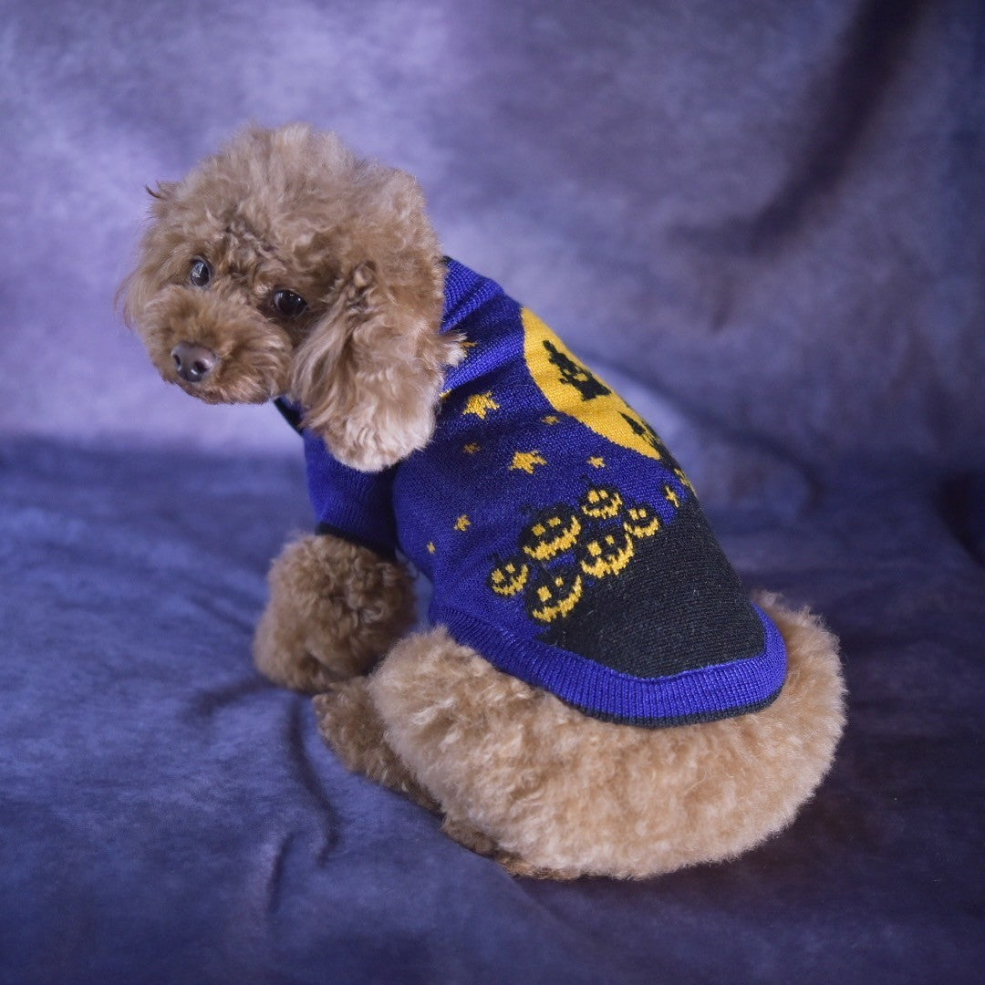 小型犬用ハロウィンお城柄ニット ドッグウェア ワンピースとセーター トイプードル2.8㎏　Sサイズ着用　KALINA