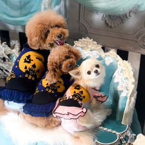 トイプードルとチワワが着用するハロウィン柄のおしゃれな犬用ニットセーター KALINA
