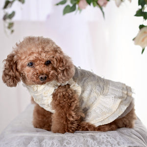 ハートコットンレースワンピース アイボリー 着用画像 側面　トイプードル　KALINA