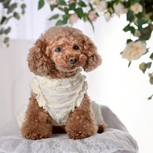 ハートコットンレースワンピース アイボリー 着用画像 正面　KALINA