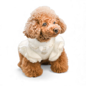 【新作・一部予約】フェレット風ラメジャカードワンピース｜犬服 小型犬 ドッグウェア お出かけ KALINA