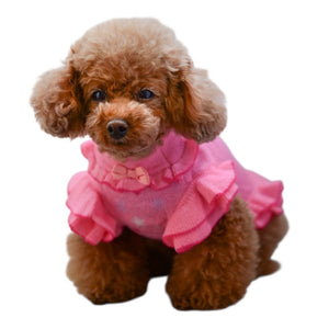 【新作】シルケットアクリルメリーゴーランド柄ワンピース｜犬服 小型犬 ドッグウェア お出かけ KALINA