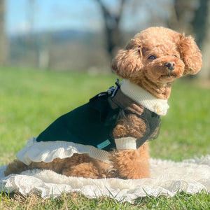 カシミヤ混のブラックニットにホワイトチュールヨークとリボンをあしらった小型犬用ワンピース｜裾にパール装飾付き｜KALINA 犬服