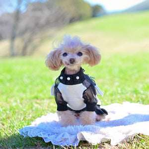 カシミヤ混のホワイトニットにブラックチュールヨークとリボンをあしらった小型犬用ワンピース｜ウエストにパール装飾付き｜KALINA ドッグウェア