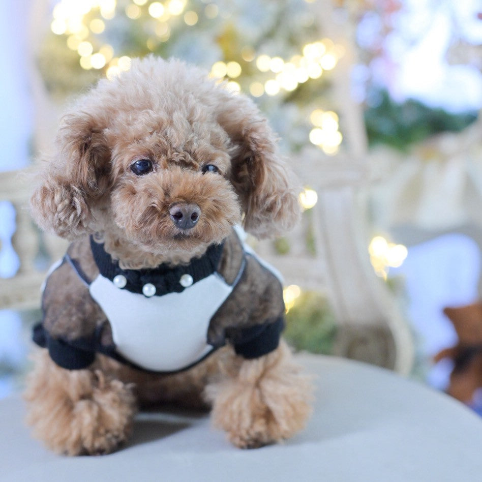 カシミヤ混配色パフスリーブワンピース | 小型犬 犬服 お出かけ KALINA