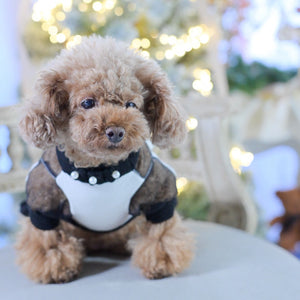 カシミヤ混のホワイトニットにブラックチュールヨークとリボンをあしらった小型犬用ワンピース｜ウエストにパール装飾付き｜KALINA ドッグウェア