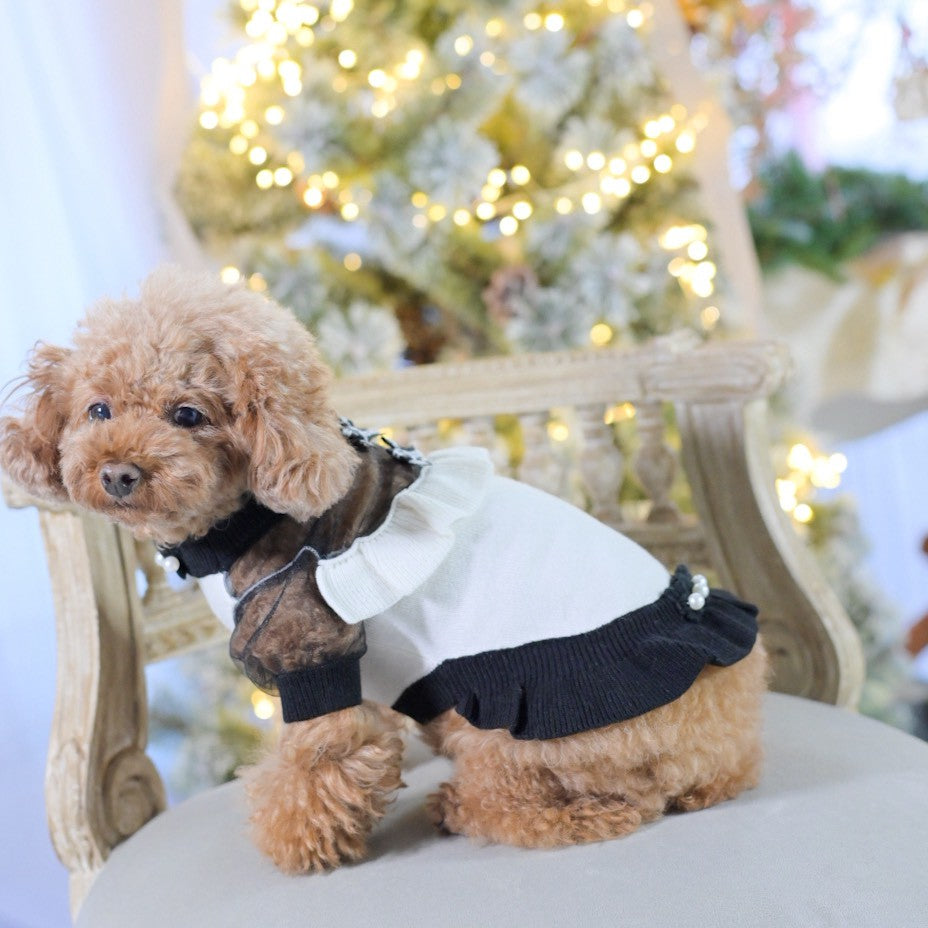 カシミヤ混配色パフスリーブワンピース | 小型犬 犬服 お出かけ KALINA
