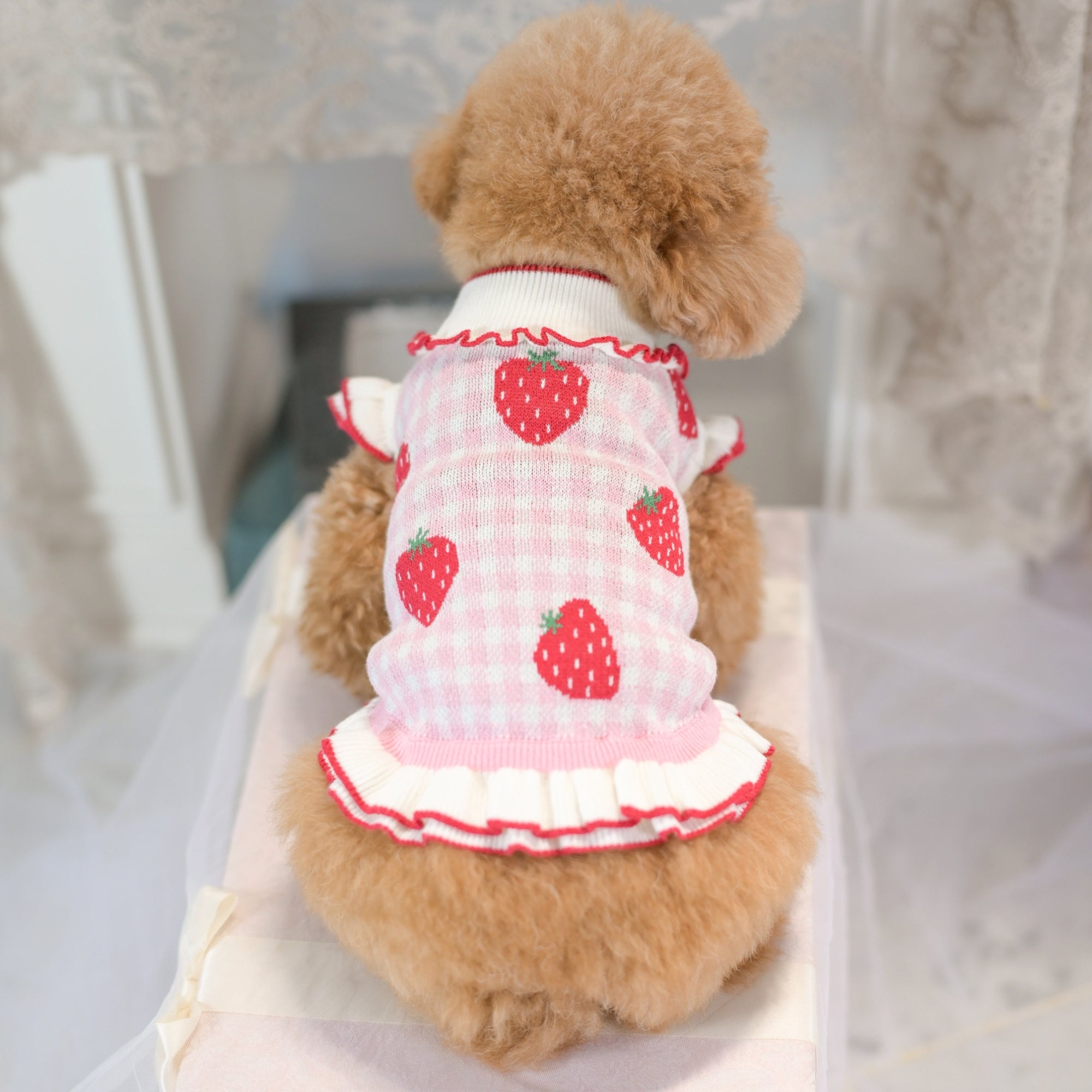 ワンコ服カリーナ新作商品 KALINA kalina_wans_gogoh 可愛い犬服わんこ