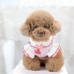 ギンガムいちご柄ワンピース ピンク 着用イメージ 正面