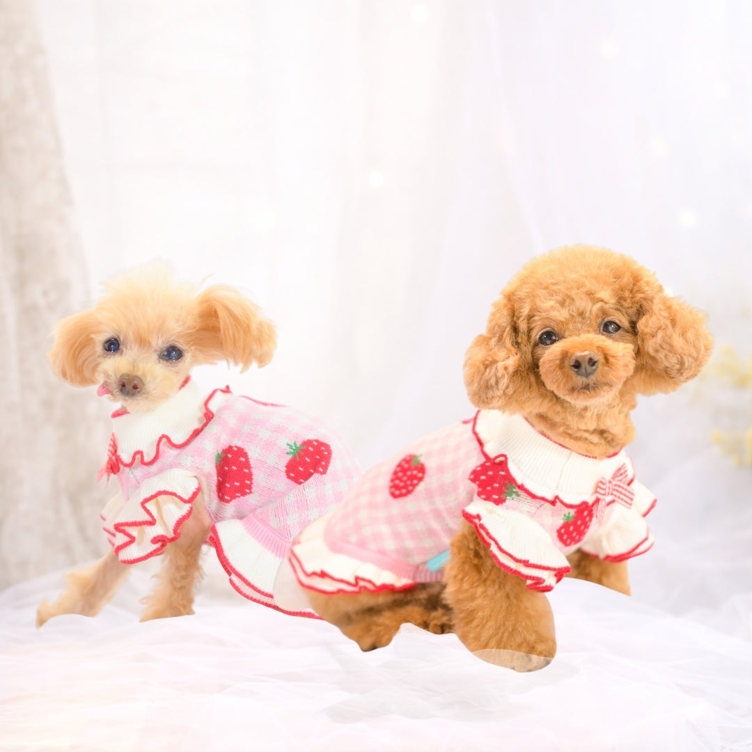 【新作】ギンガムいちご柄ワンピース｜犬服 小型犬 ドッグウェア  KALINA