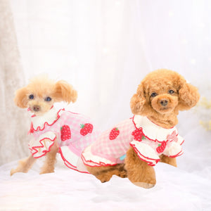 【新作】ギンガムいちご柄ワンピース｜犬服 小型犬 ドッグウェア  KALINA