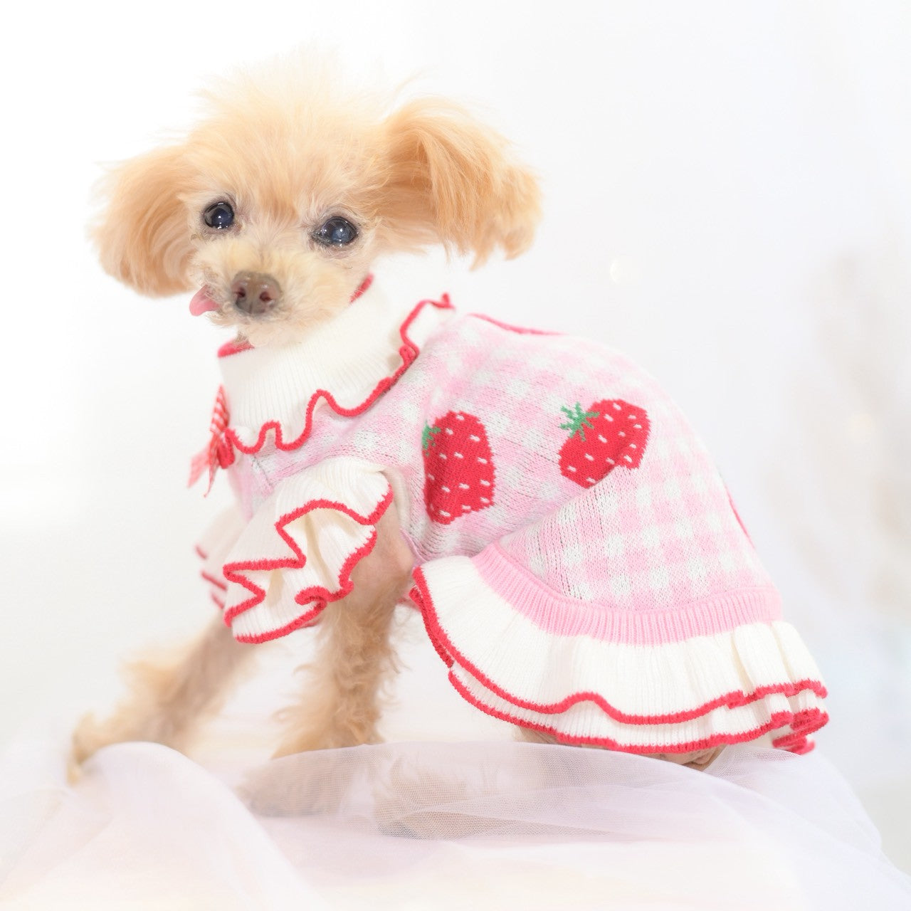ハンドメイド　いちご柄×ギンガムチェック肩リボン3段ティアードワンピース　犬服 ギンガムいちご柄ワンピース | 小型犬 犬服 ドッグウェア KALINA