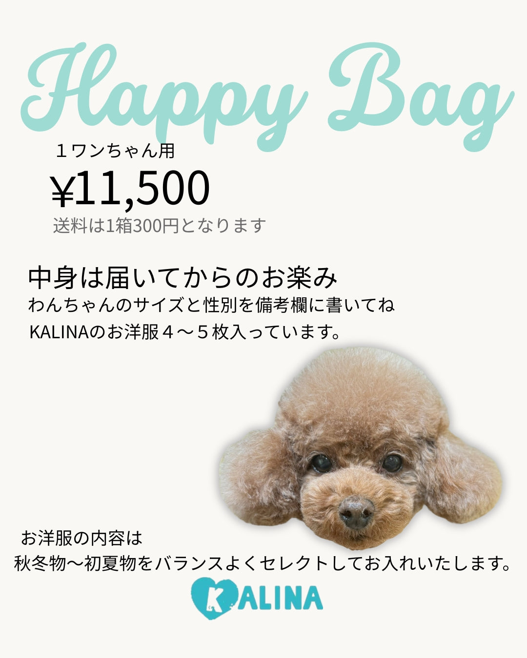 KALINAの犬服HAPPY BAG単品。小型犬向け。秋冬物から初夏物までのお洋服が4点入ったお得な福袋。